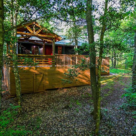 The Big Little Cabin - Hot Tub & Playground Villa Dahlonega Exterior photo